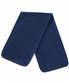 French Navy