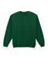 Fan Dark Green*